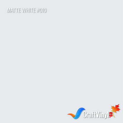 Oracal 651 Glossy White #010 sheets and rolls
