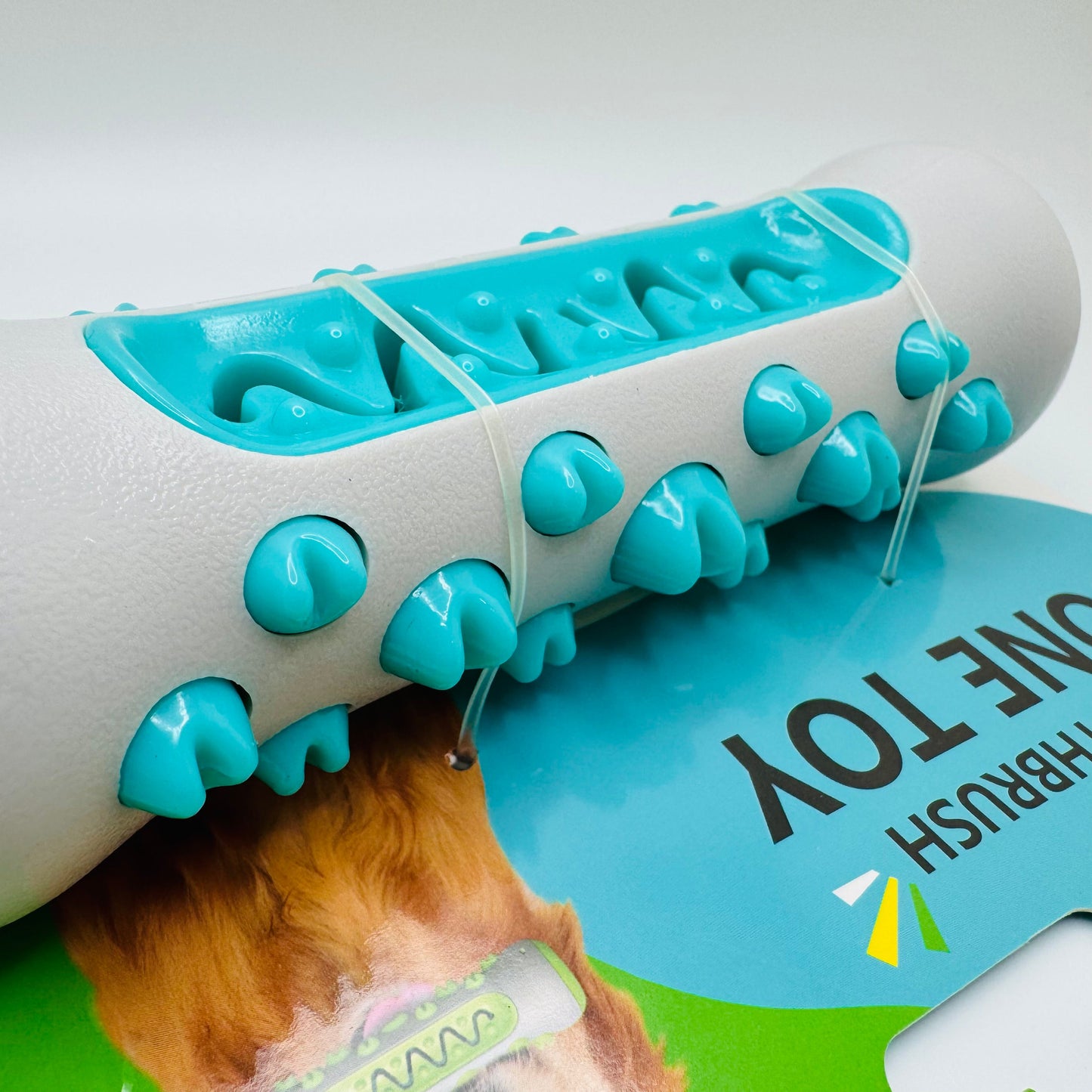 Dog Dental Health Chew Toy | Molar