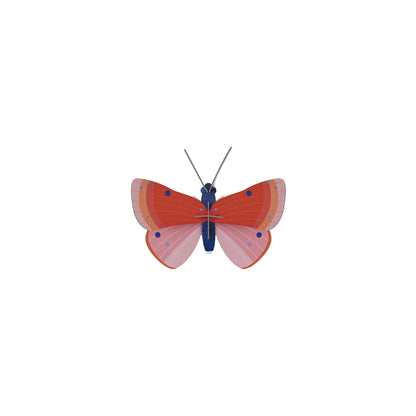 Speckled Copper Butterfly