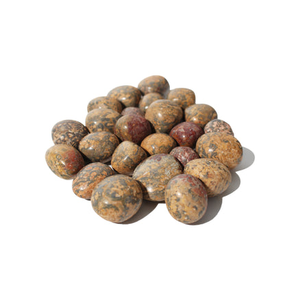 Red Leopardskin Jasper Tumbled Stones