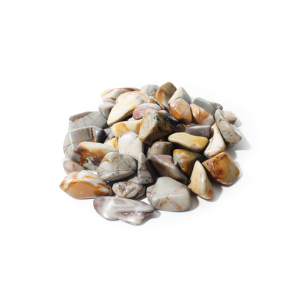 Polychrome Jasper Tumbled Stones