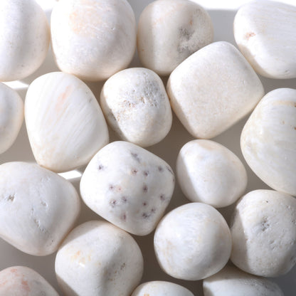Scolecite Tumbled Stones - India