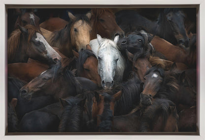 Wall art: The White Horse