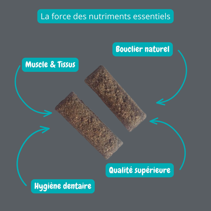 Biscuit croquant à saveur de foie de porc