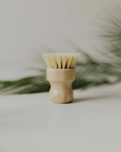 Bamboo Pot Brush