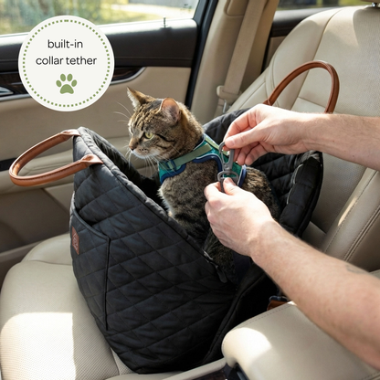 mew mew travel pet bed