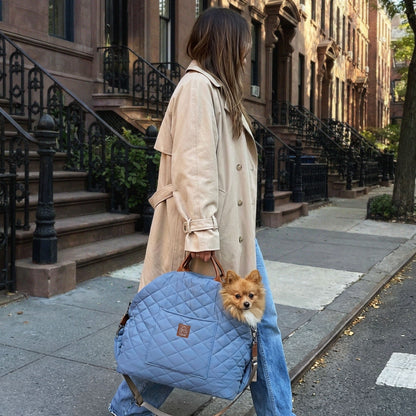 mew mew travel pet bed