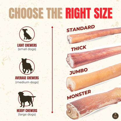 6 Inch Monster Bully Stick