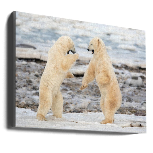 Wall art Fight !