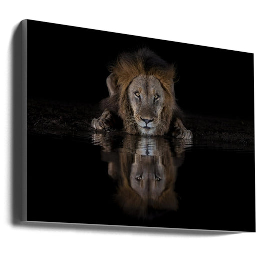 Wall art A Lion at The Night