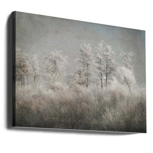 Wall art Cold morning