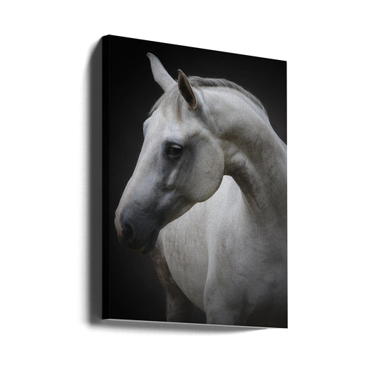 Wall art Maggie. Horse