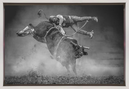 Wall Art Keeping Balance