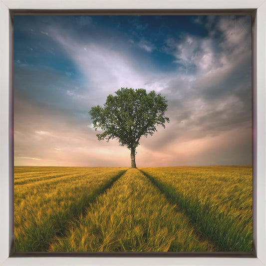 Wall art One