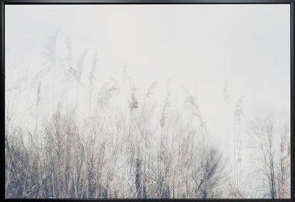 Wall art Landscape of reeds and grass