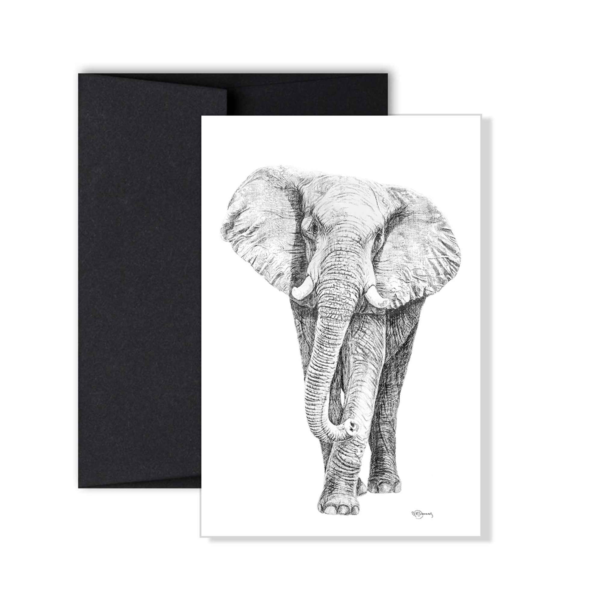 Complete Zoo Greeting Card Collection