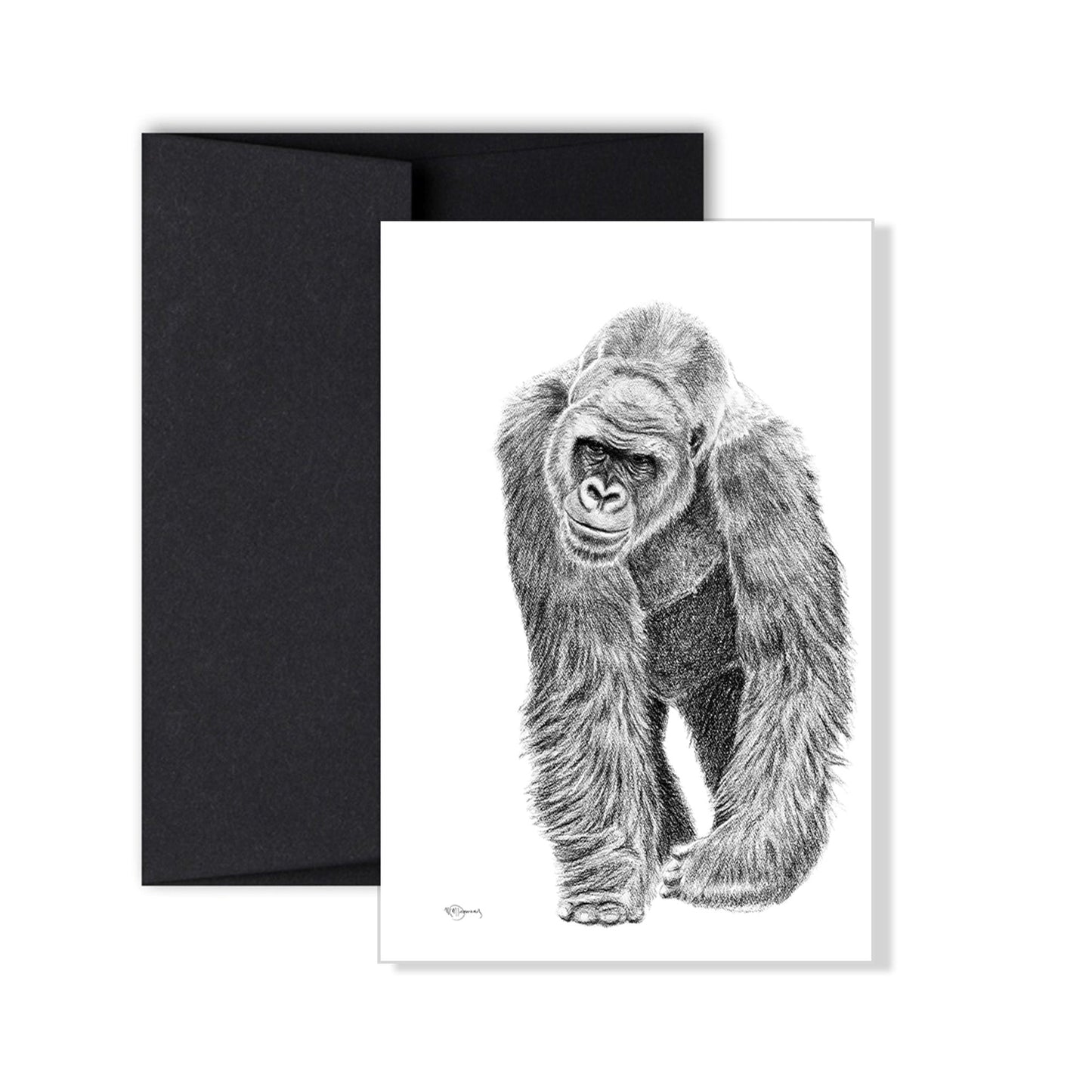 Complete Zoo Greeting Card Collection