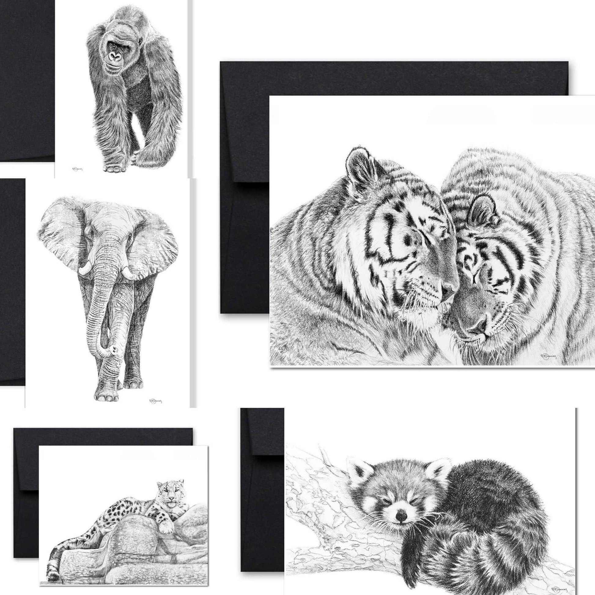 Complete Zoo Greeting Card Collection
