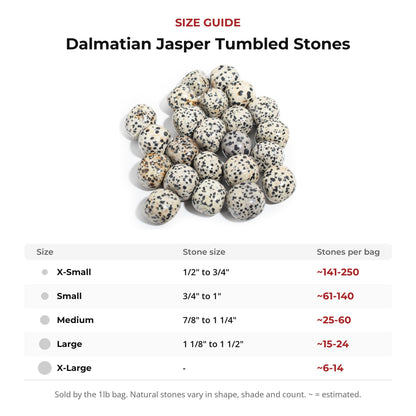 Dalmatian Jasper Tumbled Stones