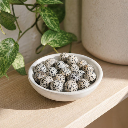 Dalmatian Jasper Tumbled Stones