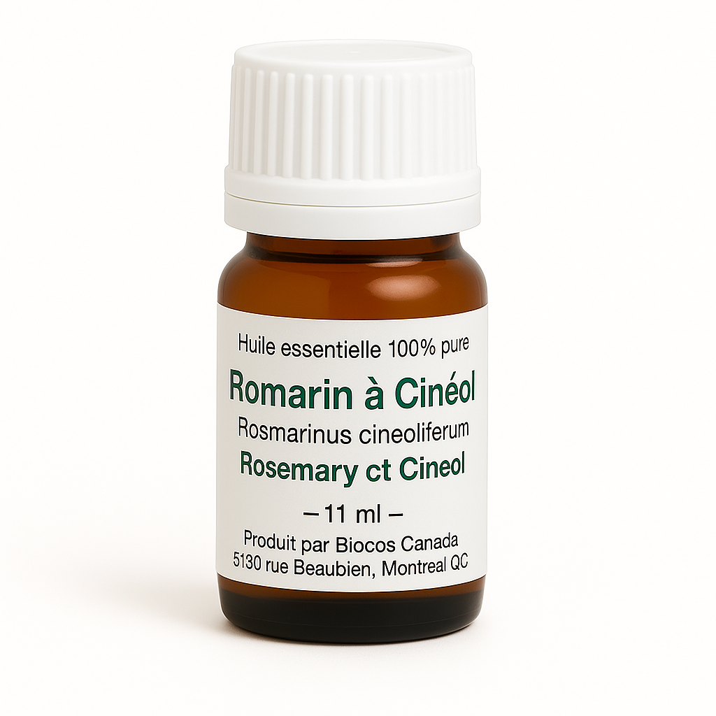 Romarin à Cinéol
