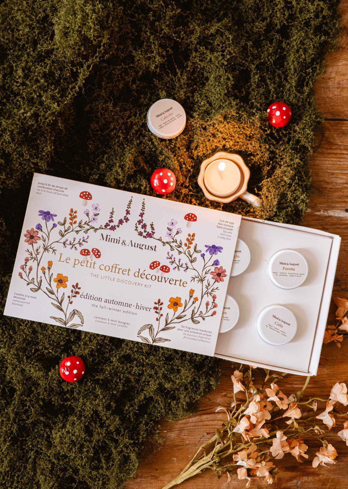 The Fall/Winter Discovery Kit