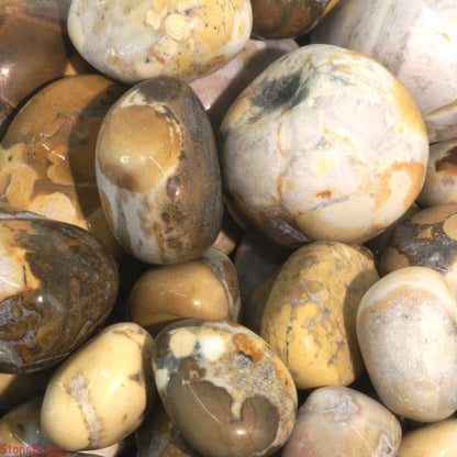 Orbicular Jasper Tumbled Stones - India