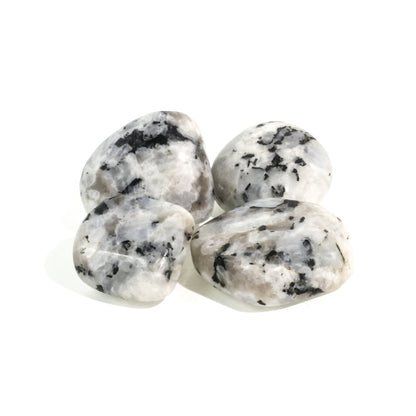 Rainbow Moonstone Tumbled Stones - India