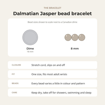 Dalmatian Jasper Matte Round Bracelet - 8mm