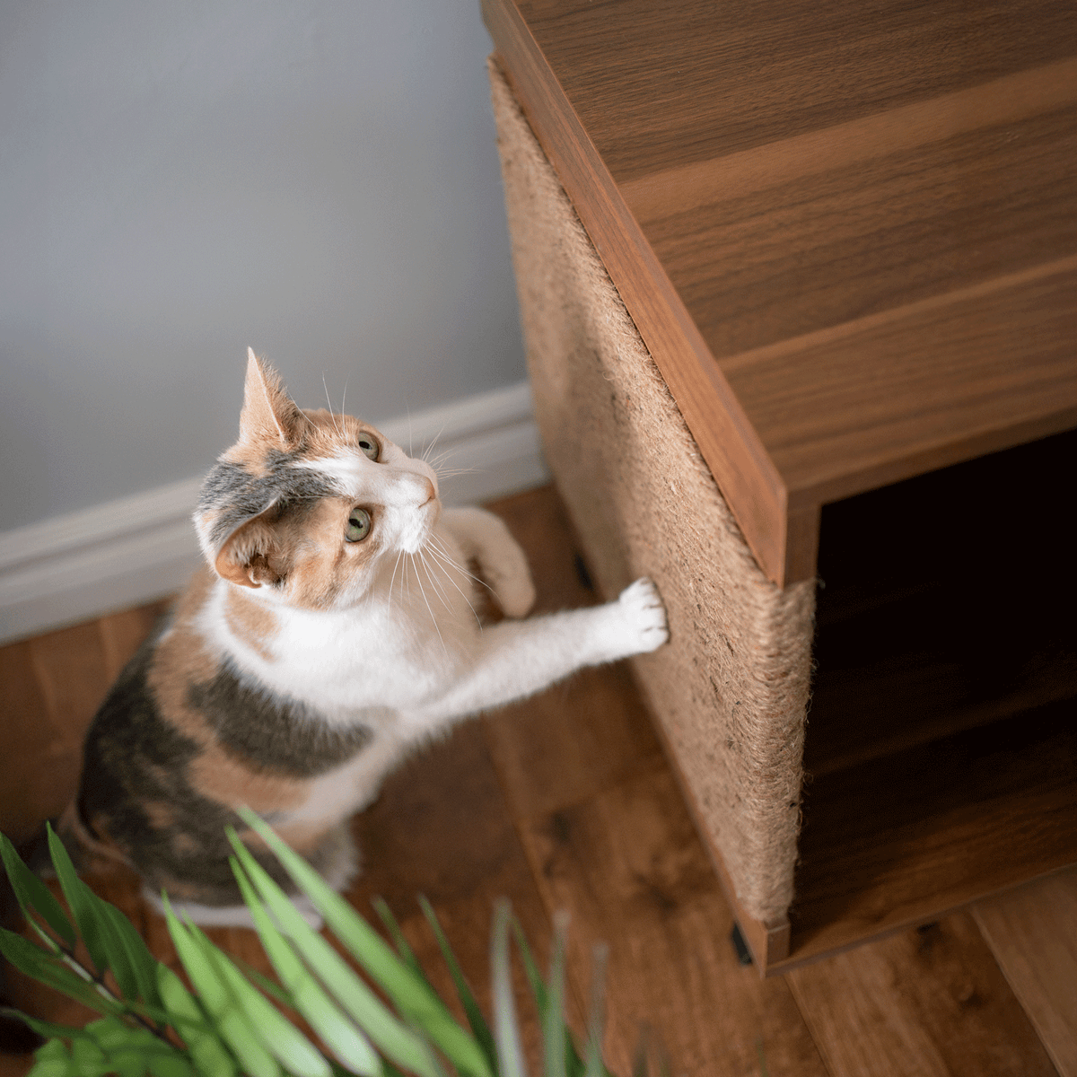 jessie litter cabinet