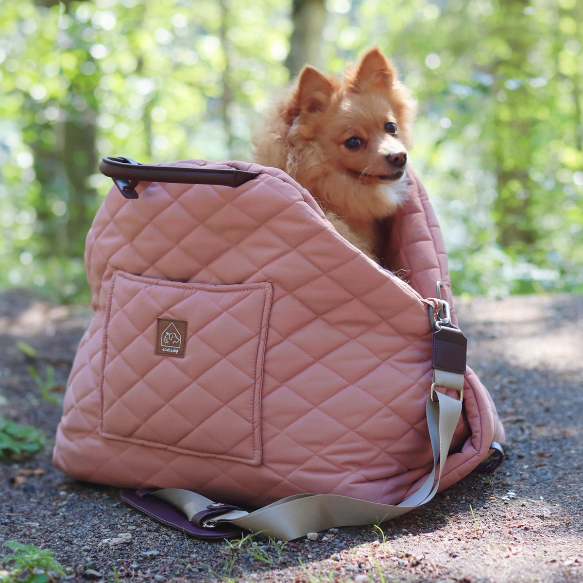 mew mew travel pet bed