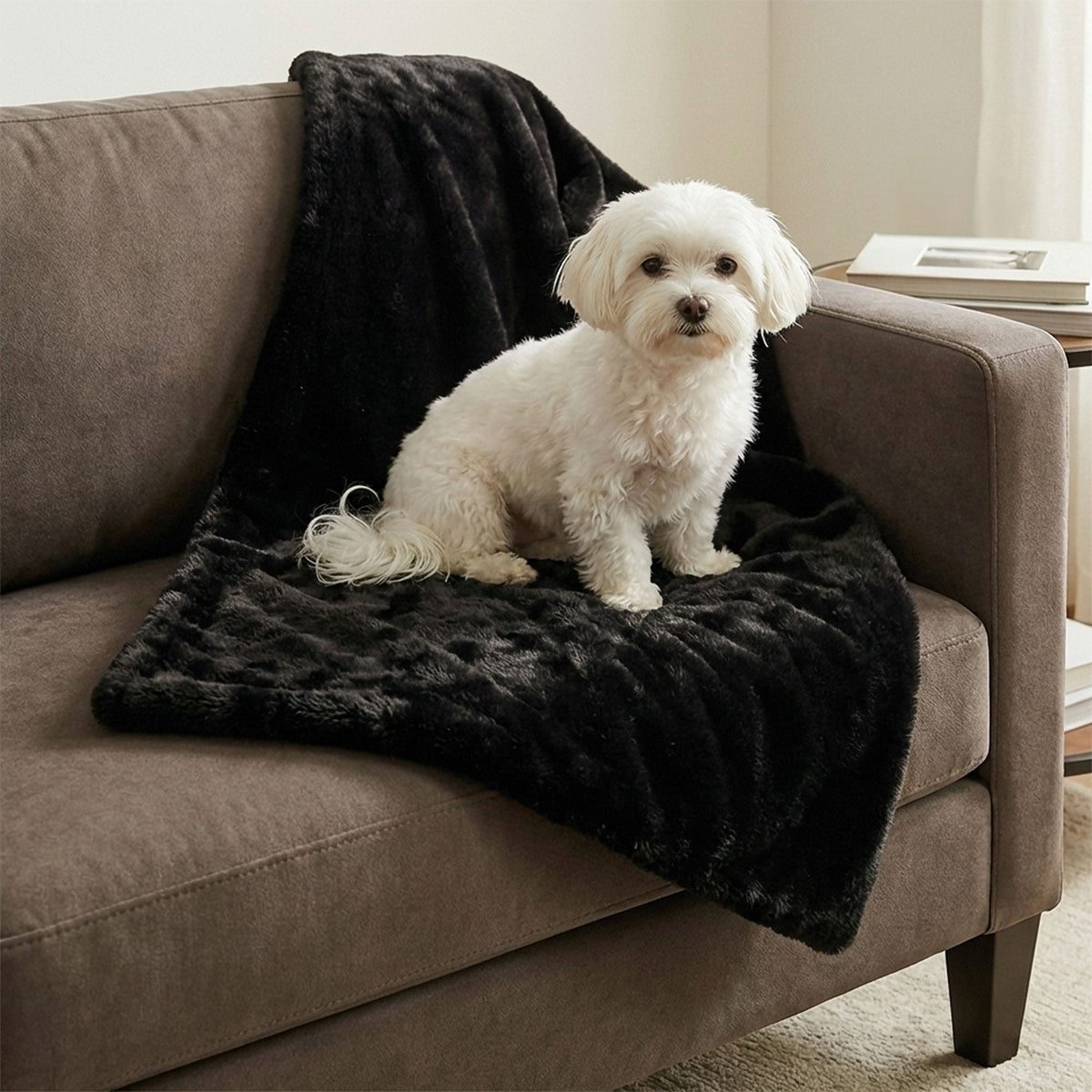 mini pixie throw