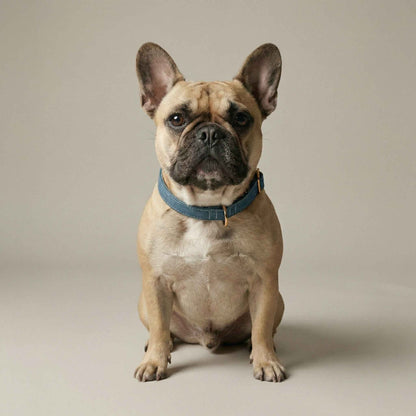 Denim Collar