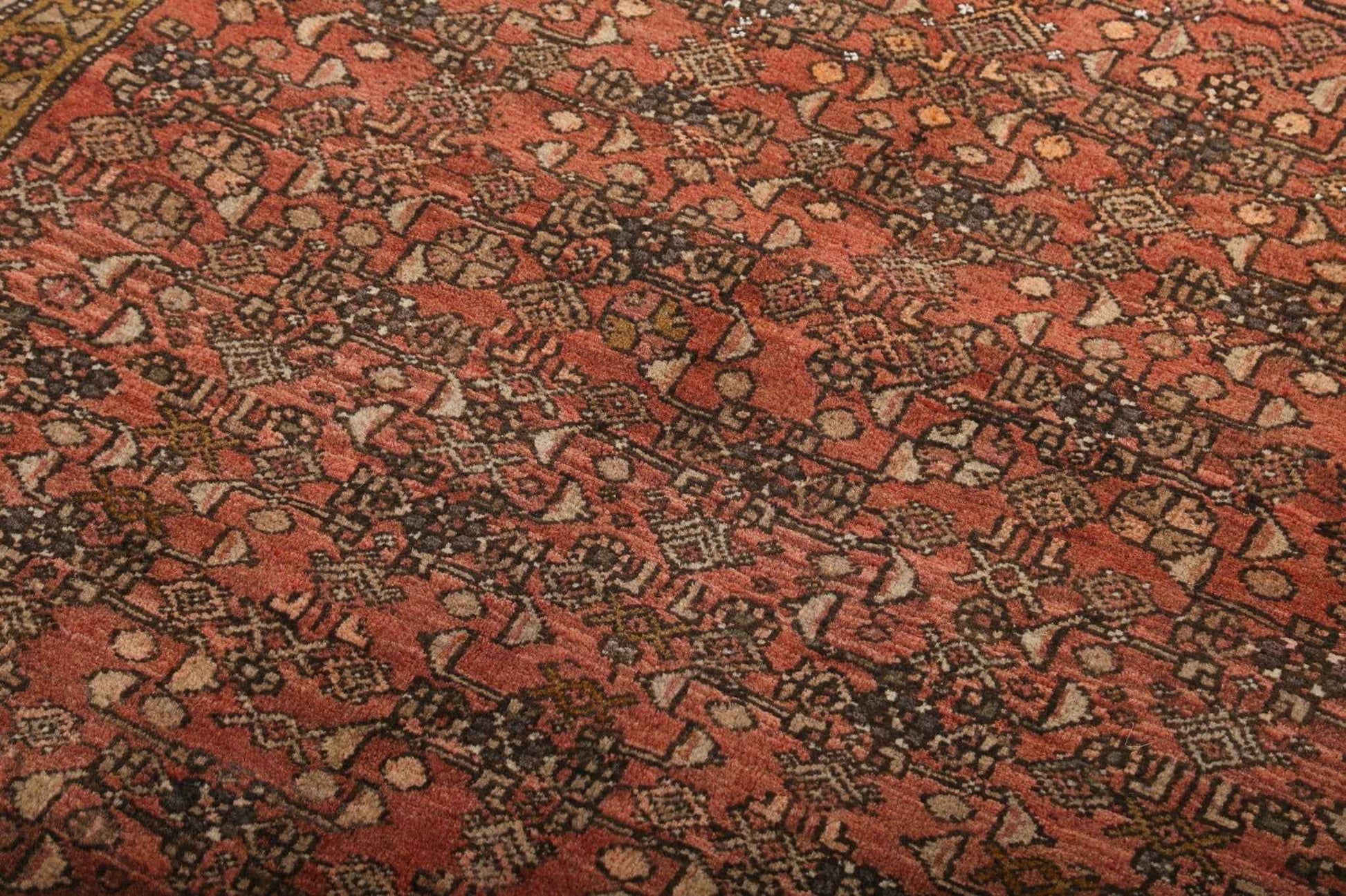 Persian Bidjar Rug | 4' 2" x 5' 9"
