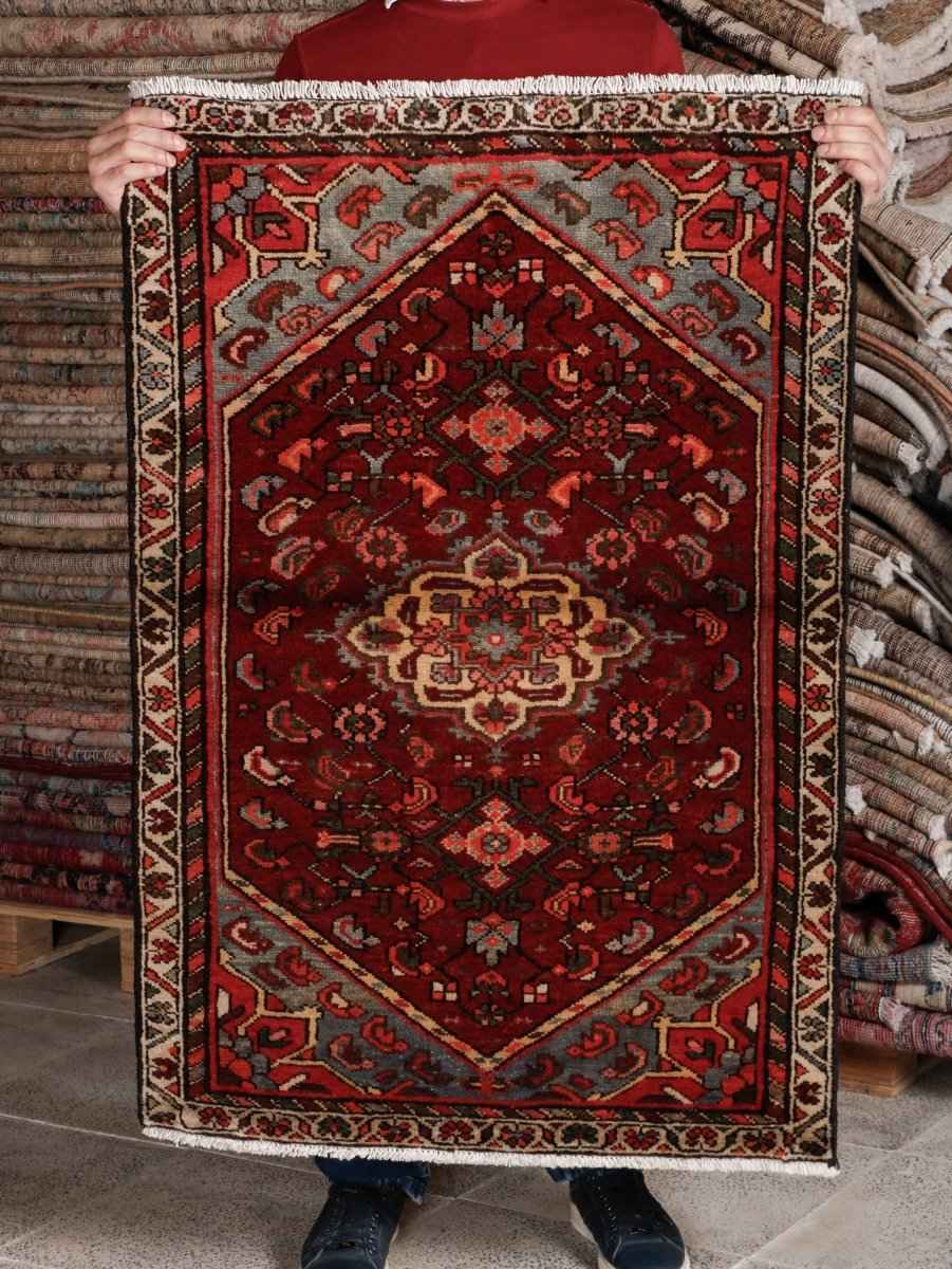 Persian Hamadan Rug | 2' 7” x 3' 10"