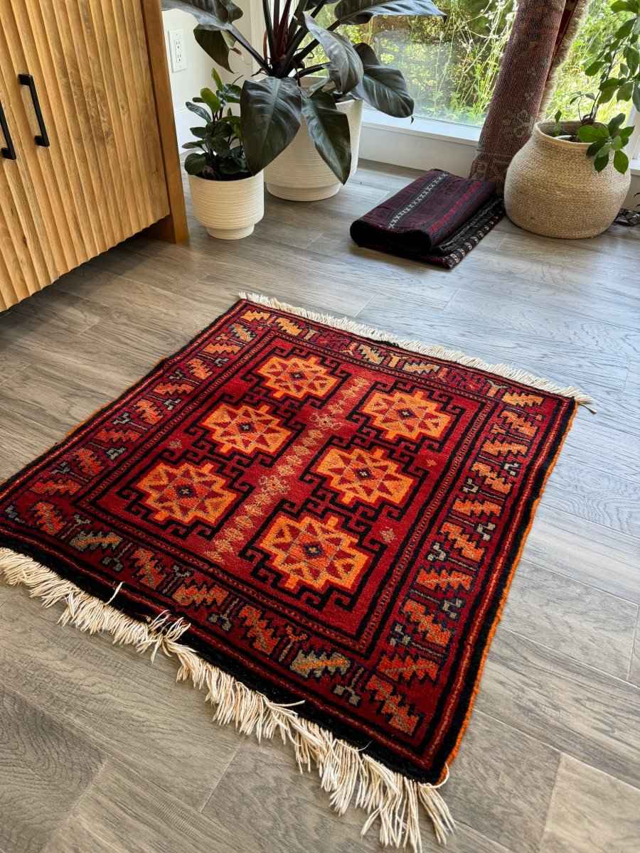 Persian Lori Rug | 2' 7" x 2' 7"