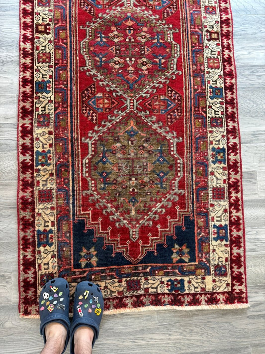 Persian Meshkin Runner Rug | 3' 3" x 7'