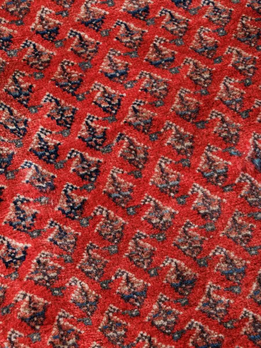 Persian Mir Rug | 8’ x 10’ 3”