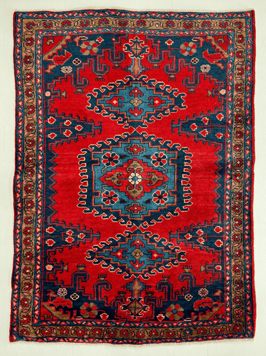 Persian Viss Rug | 3' 7” x 4' 11"