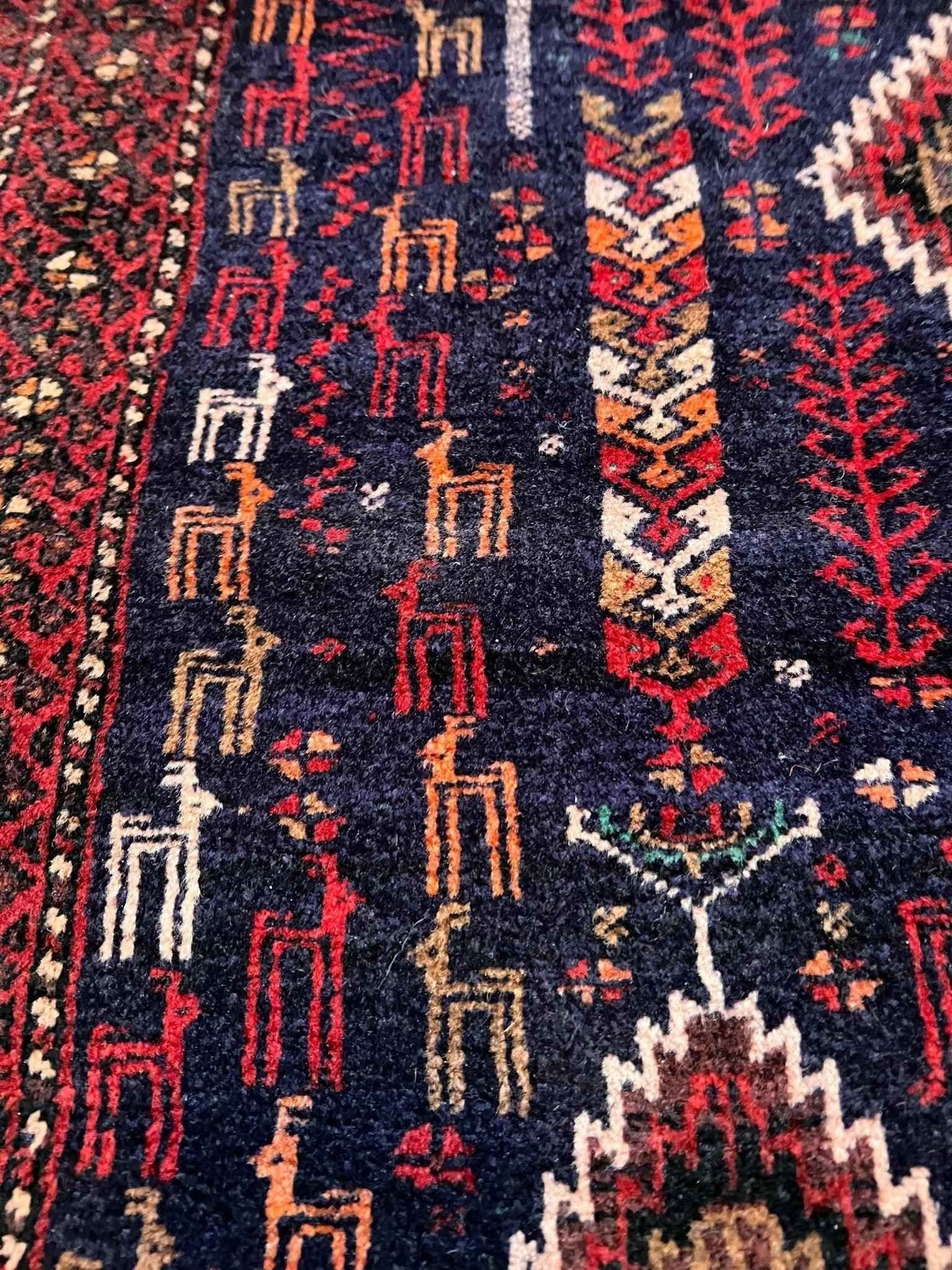 Persian Zabol Rug | 5' 3" x 3