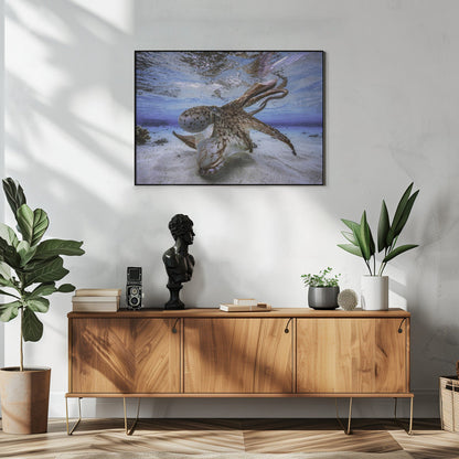 Wall Art Dancing Octopus