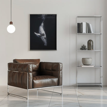 Wall Art-Black Whale