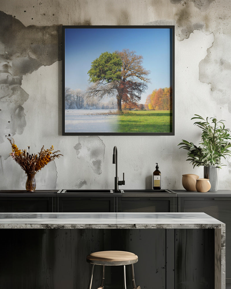 wall Art 4 seasons