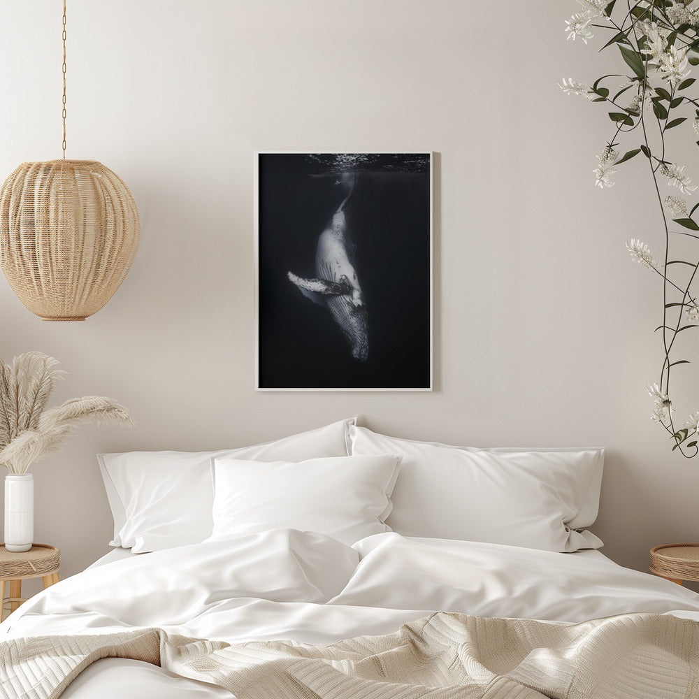 Wall Art-Black Whale