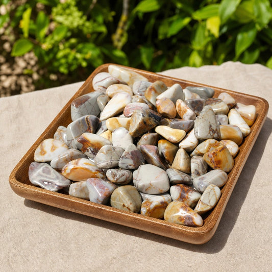 Polychrome Jasper Tumbled Stones
