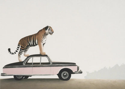 Wall art Tiger on a car roof
