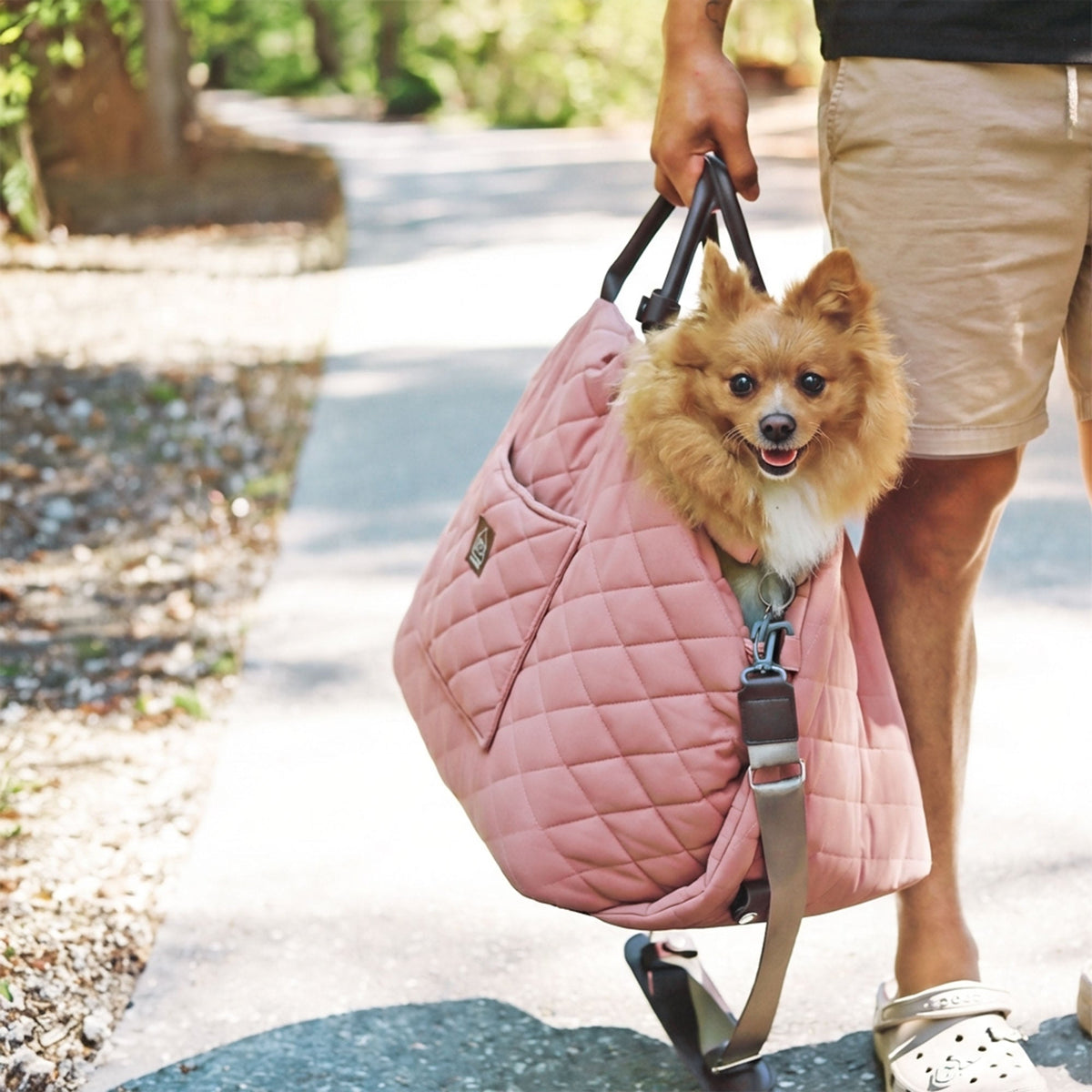 mew mew travel pet bed