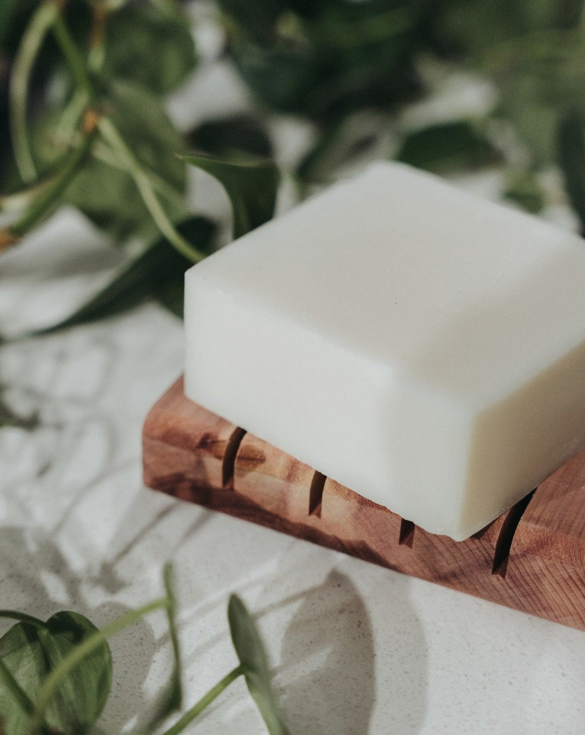 Solid Dish Soap Bar | Unscented