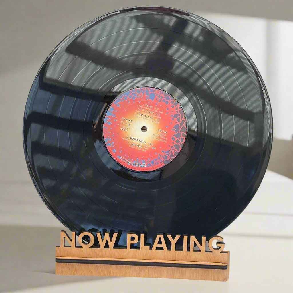 Vinyl Record Stand