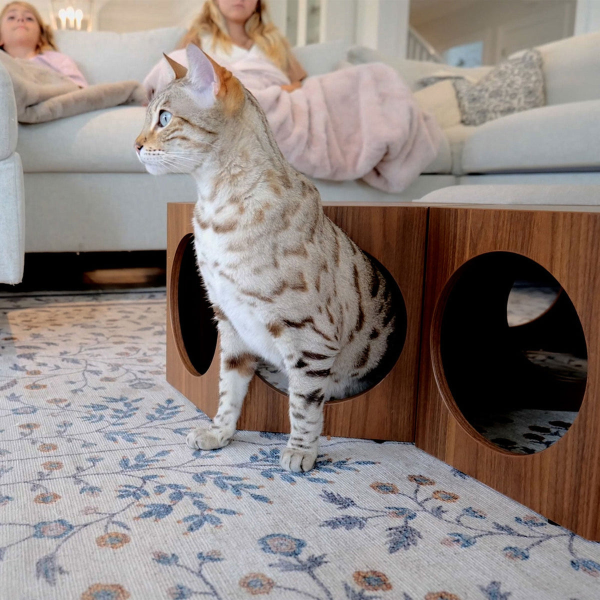 suki cat stool and shelf